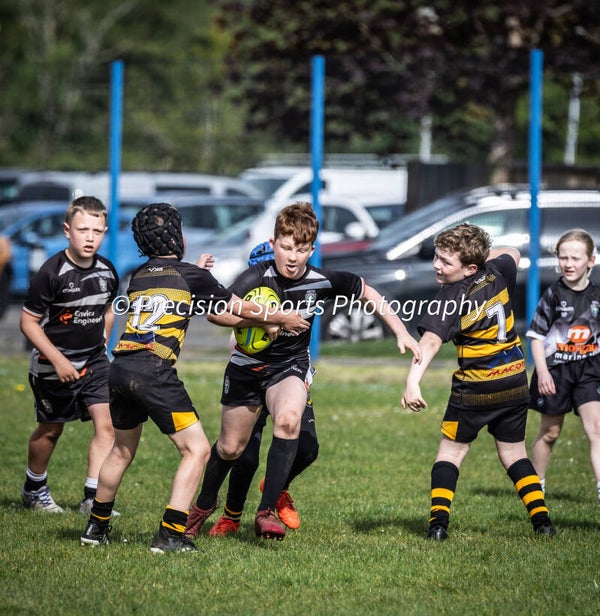 Wildboars Festival 26.4.26