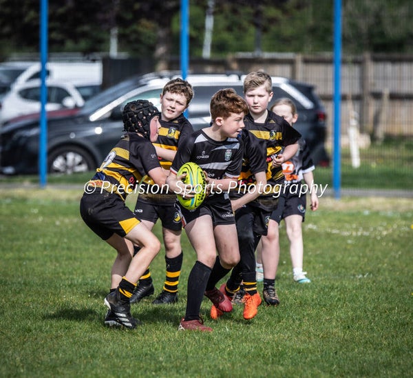 Wildboars Festival 26.4.26