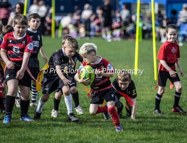 Wildboars Festival 26.4.26