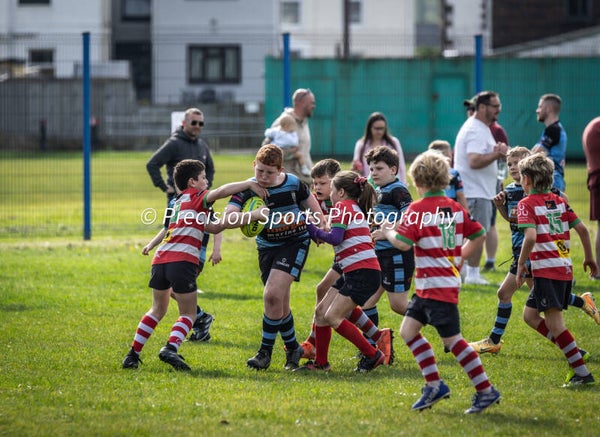 Wildboars Festival 26.4.26