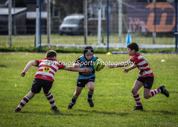 Wildboars Festival 26.4.26