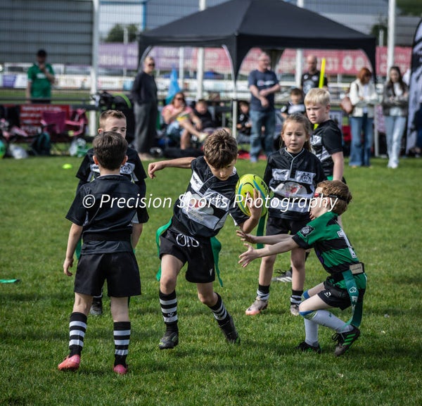 Wildboars Festival 26.4.26