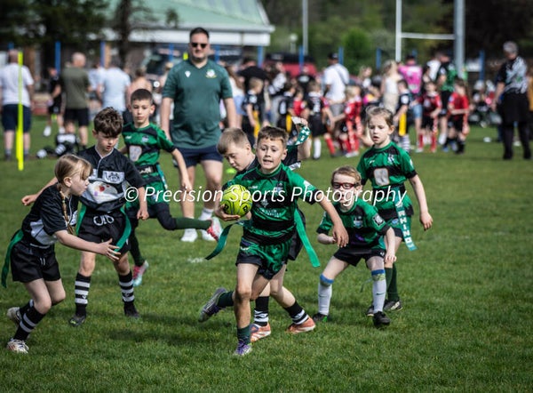 Wildboars Festival 26.4.26