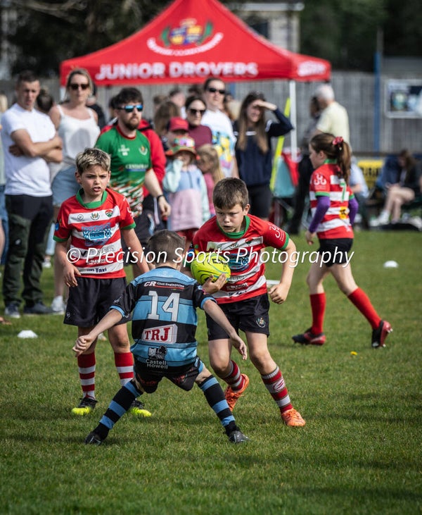 Wildboars Festival 26.4.26