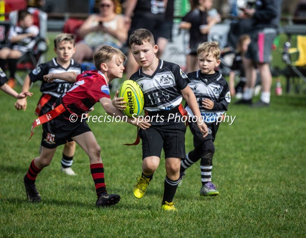 Wildboars Festival 26.4.26