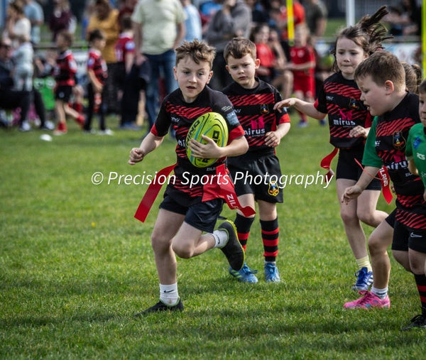 Wildboars Festival 26.4.26