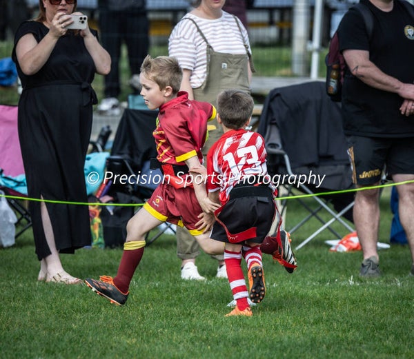 Wildboars Festival 26.4.26