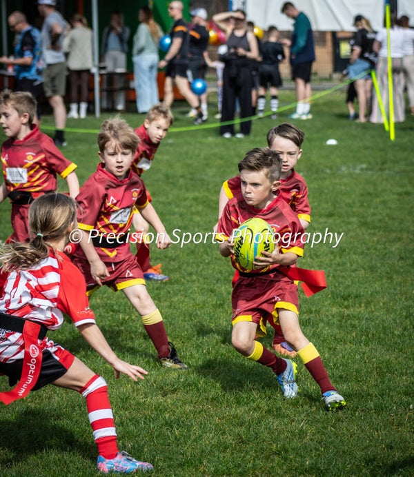 Wildboars Festival 26.4.26