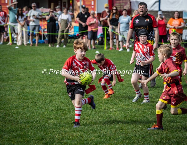 Wildboars Festival 26.4.26