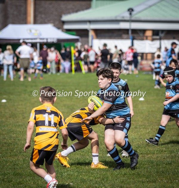 Wildboars Festival 26.4.26