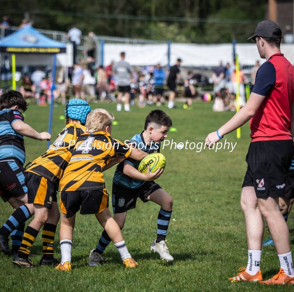 Wildboars Festival 26.4.26