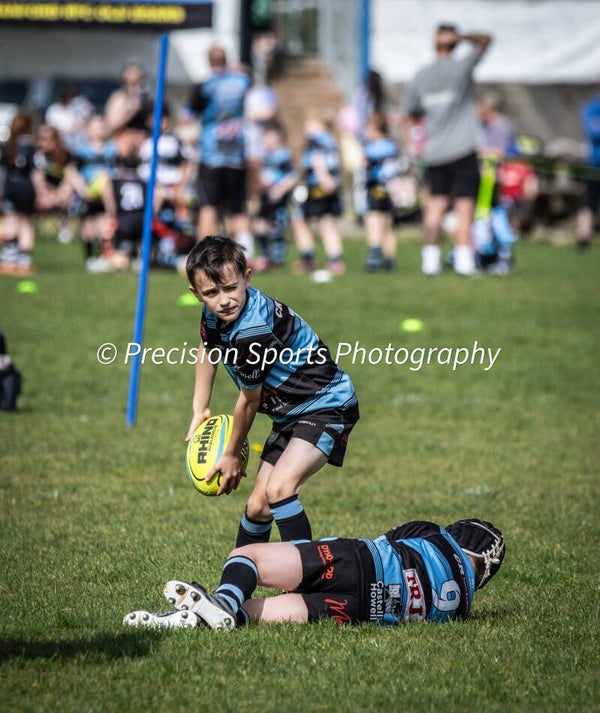 Wildboars Festival 26.4.26