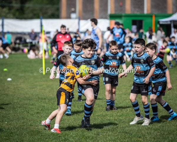 Wildboars Festival 26.4.26