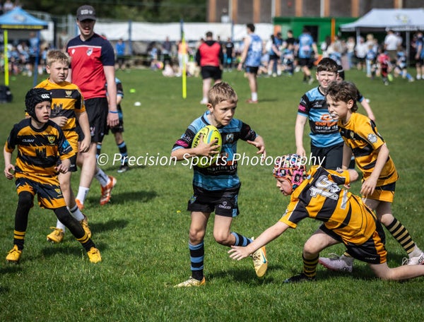 Wildboars Festival 26.4.26