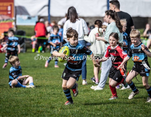 Wildboars Festival 26.4.26