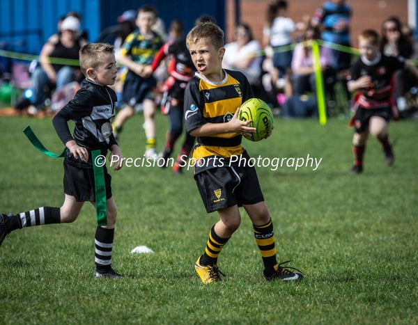 Wildboars Festival 26.4.26