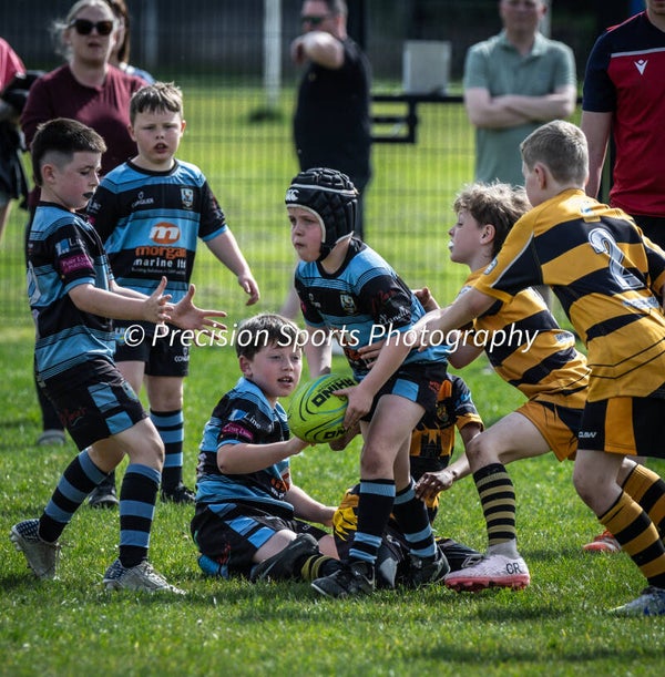 Wildboars Festival 26.4.26