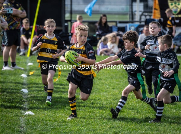 Wildboars Festival 26.4.26