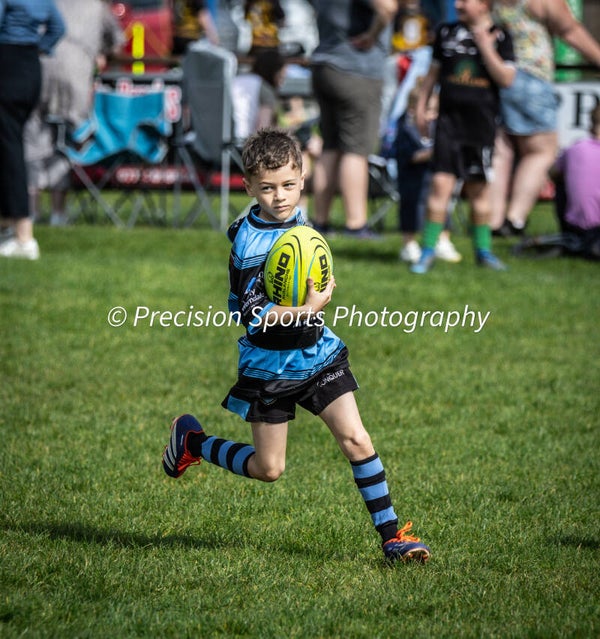 Wildboars Festival 26.4.26