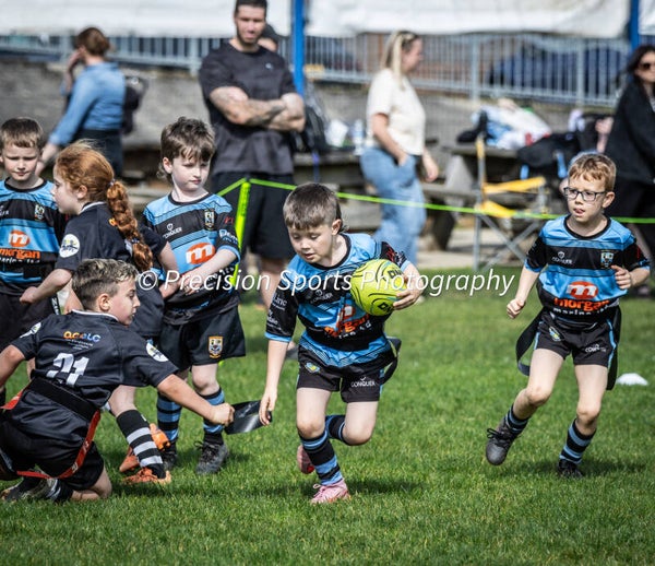 Wildboars Festival 26.4.26