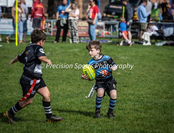 Wildboars Festival 26.4.26