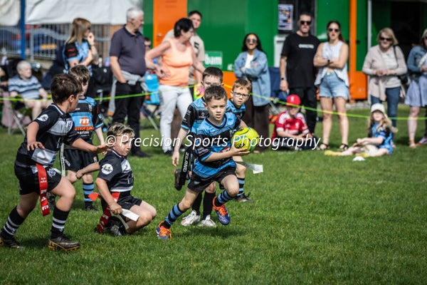 Wildboars Festival 26.4.26