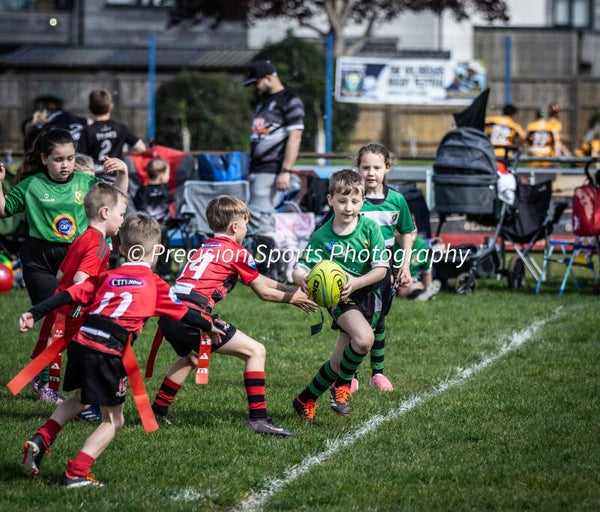 Wildboars Festival 26.4.26