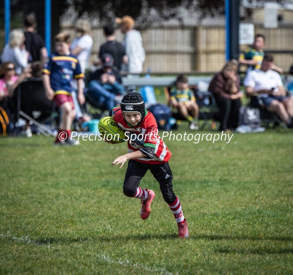 Wildboars Festival 26.4.26