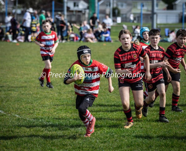 Wildboars Festival 26.4.26