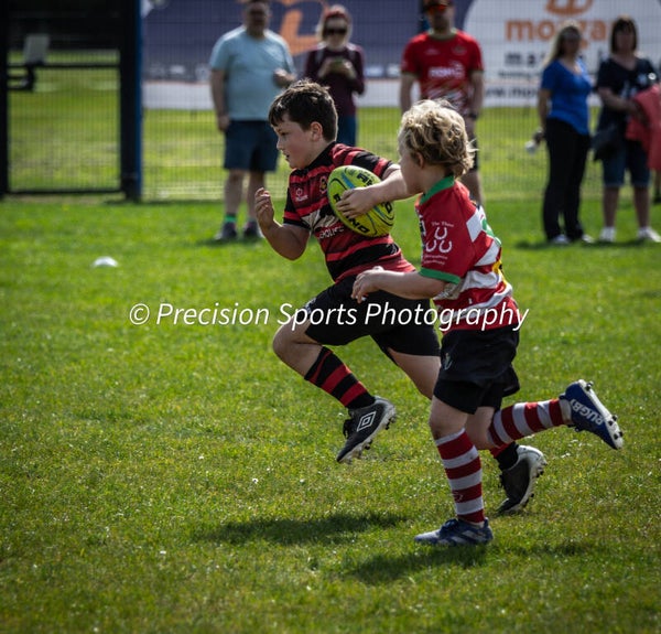 Wildboars Festival 26.4.26