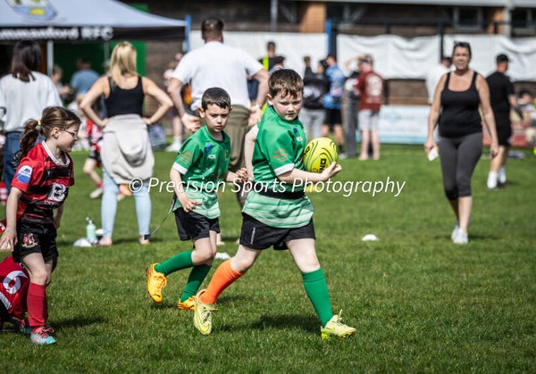 Wildboars Festival 26.4.26