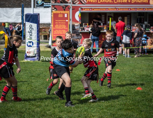 Wildboars Festival 26.4.26