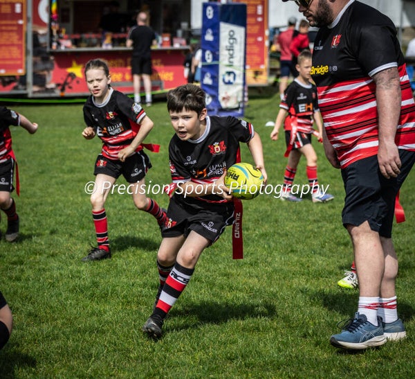 Wildboars Festival 26.4.26