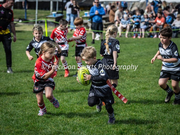 Wildboars Festival 26.4.26