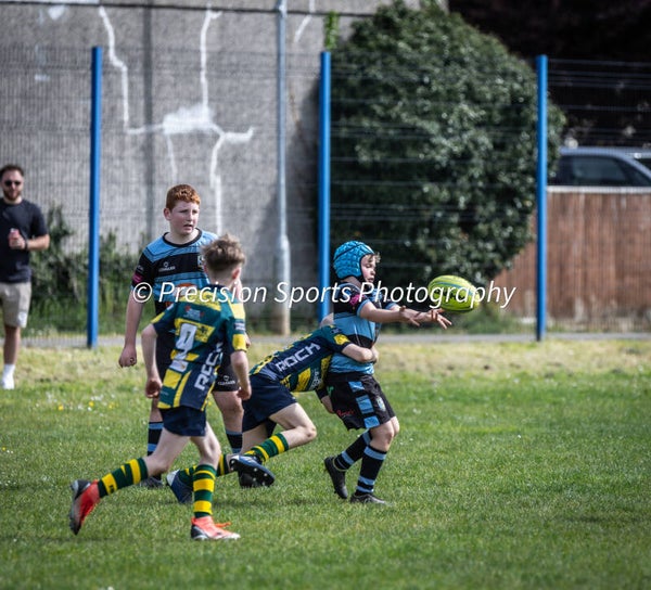 Wildboars Festival 26.4.26