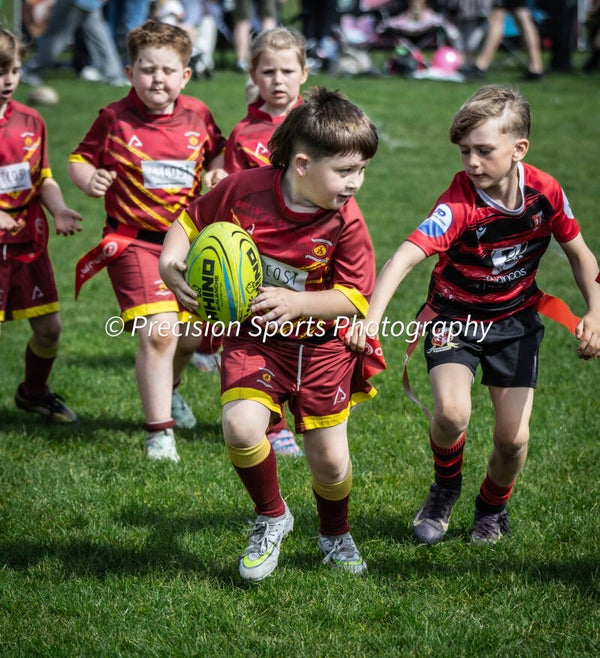 Wildboars Festival 26.4.26