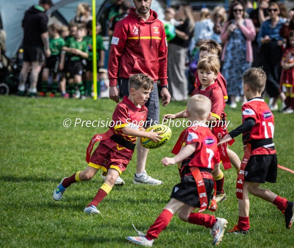 Wildboars Festival 26.4.26