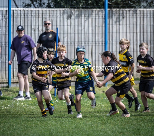Wildboars Festival 26.4.26