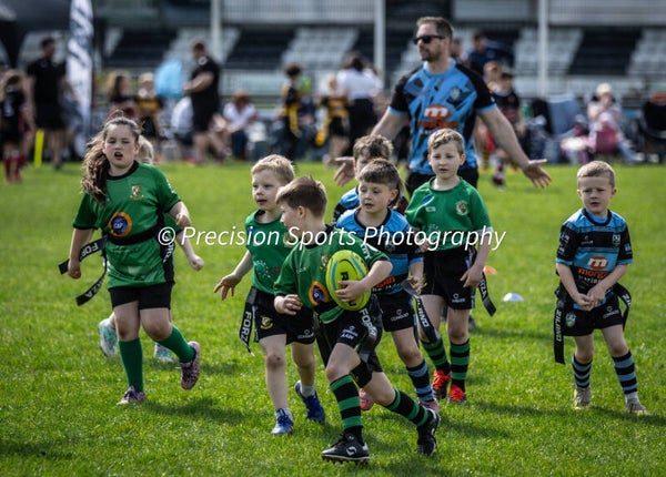 Wildboars Festival 26.4.26