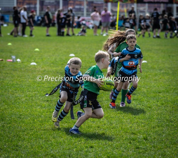 Wildboars Festival 26.4.26