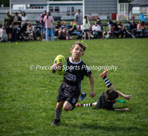 Wildboars Festival 26.4.26