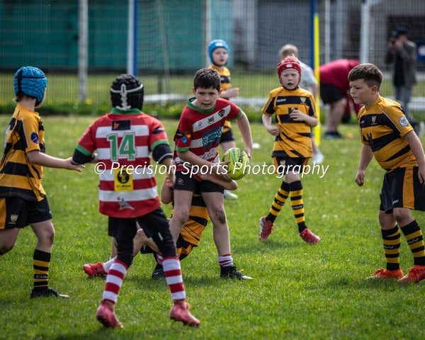 Wildboars Festival 26.4.26