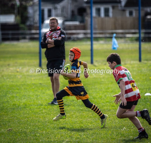 Wildboars Festival 26.4.26