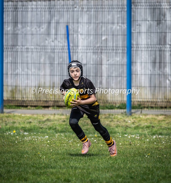 Wildboars Festival 26.4.26