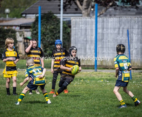 Wildboars Festival 26.4.26