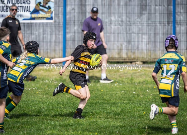 Wildboars Festival 26.4.26