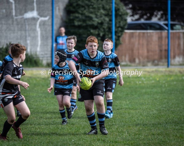 Wildboars Festival 26.4.26