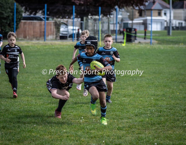 Wildboars Festival 26.4.26