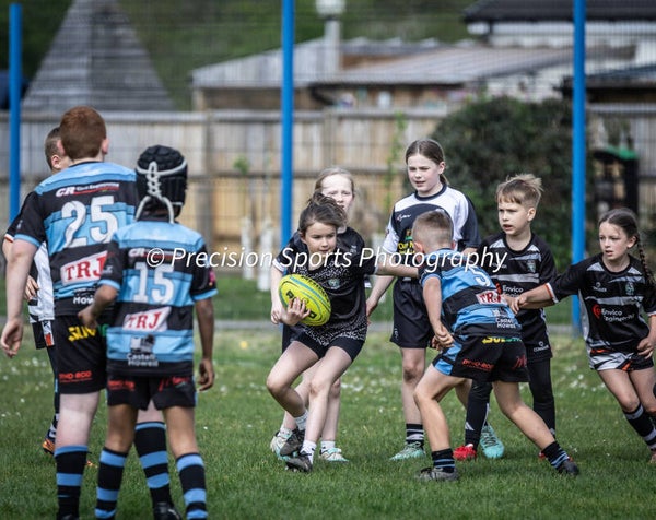 Wildboars Festival 26.4.26