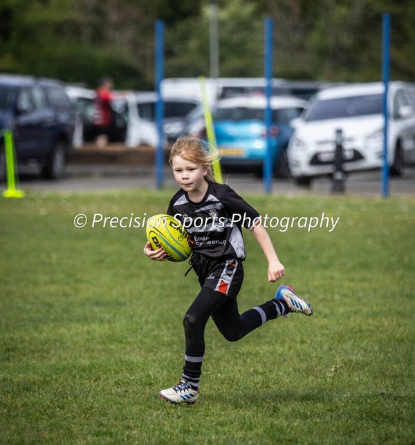 Wildboars Festival 26.4.26